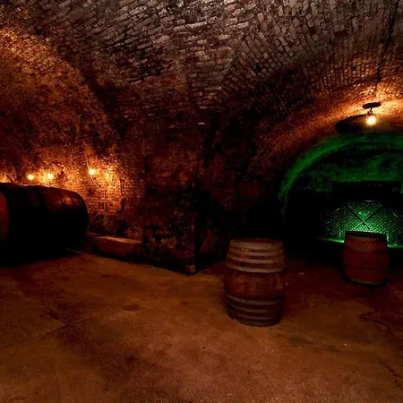 Hotel Schloss Hollenburg Honeymoon Krems an der Donau