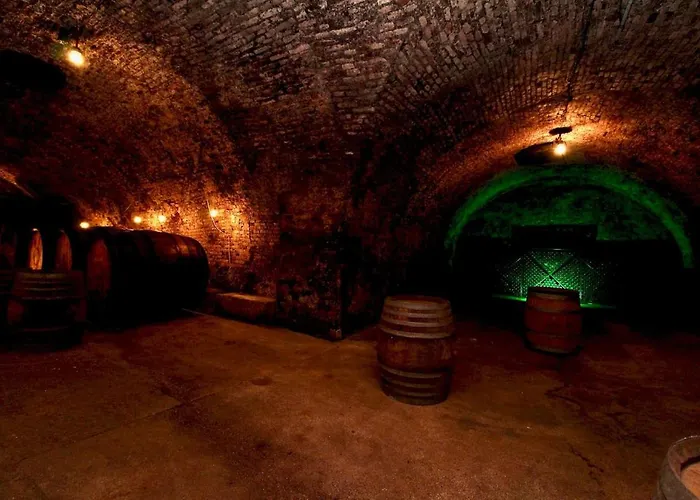 Hotel Schloss Hollenburg Honeymoon Krems an der Donau